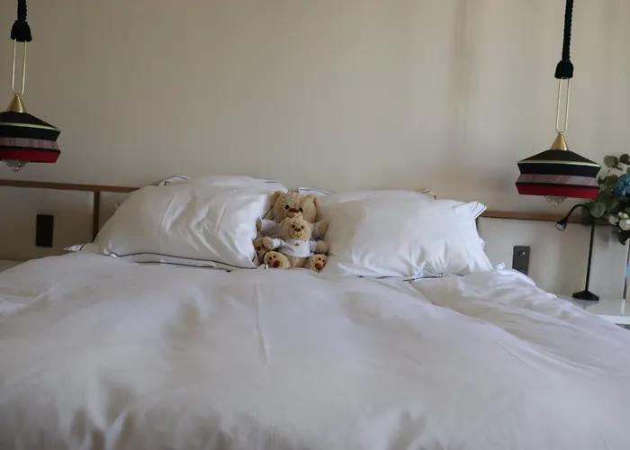 Appartement Luxueux Avec Balcon, Champs élysées Paris