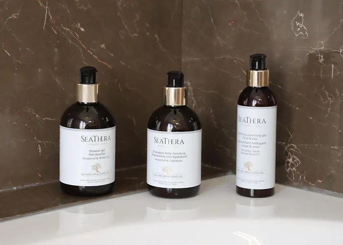 Appartement Luxueux Avec Balcon, Champs élysées Paris